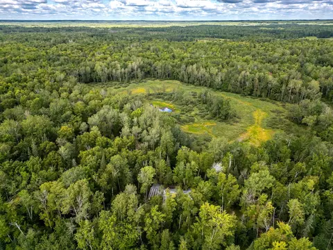 48029 110th Pl, Tamarack, MN 55787