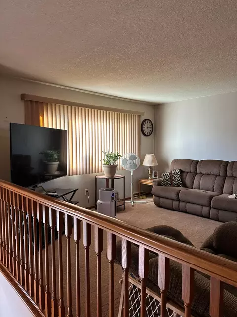 113 E Fairview St, Spring Valley, MN 55975 photo 5