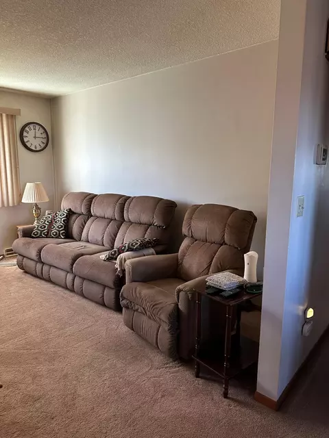 113 E Fairview St, Spring Valley, MN 55975 photo 6