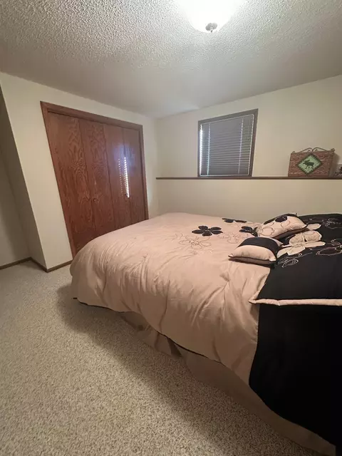 113 E Fairview St, Spring Valley, MN 55975 photo 30