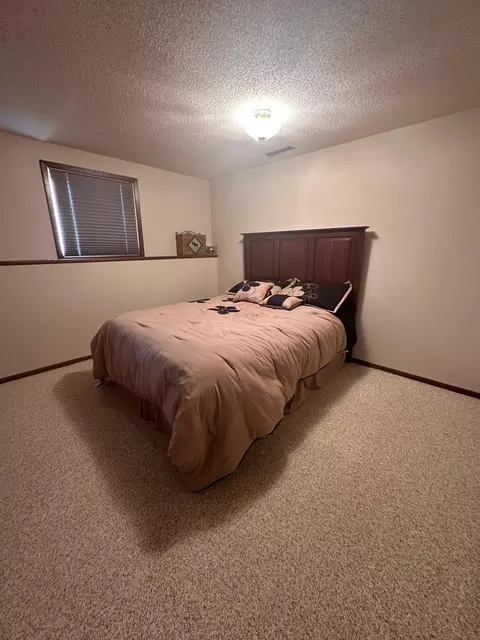 113 E Fairview St, Spring Valley, MN 55975 photo 29