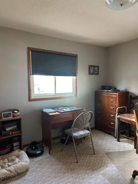 113 E Fairview St, Spring Valley, MN 55975 photo 25
