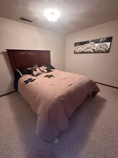 113 E Fairview St, Spring Valley, MN 55975 photo 31