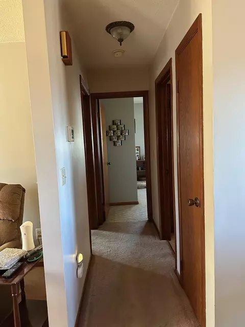 113 E Fairview St, Spring Valley, MN 55975 photo 21