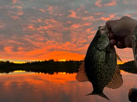 tbd Wilderness Way, Cook, MN 55723