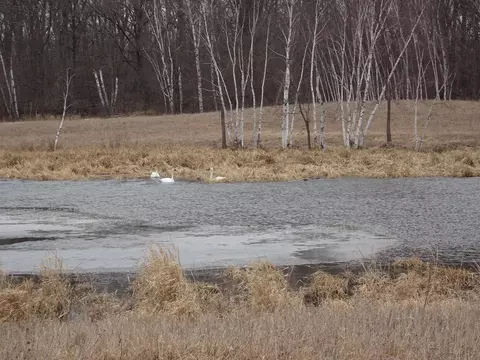 tbd 270th Ave, Frederic, WI 54837 photo 24