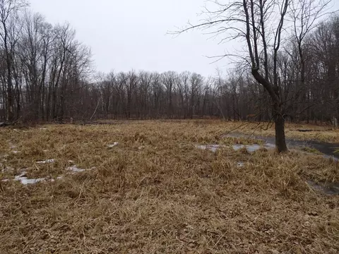 tbd 270th Ave, Frederic, WI 54837 photo 19