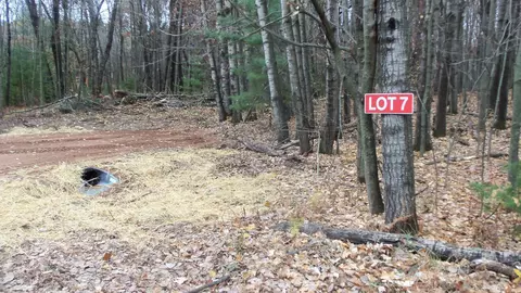 lot7 Herman Johnson Rd, Siren, WI 54872