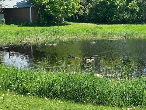 Other - 39596 10th Ave, Isle, MN 56342 photo 26 of 26