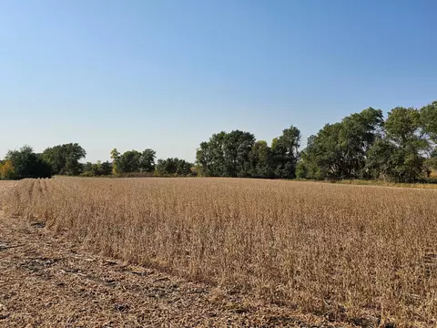 - Mamre Twp, Pennock, MN 56279