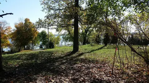 893 White Clover Beach Rd, Detroit Lakes, MN 56501