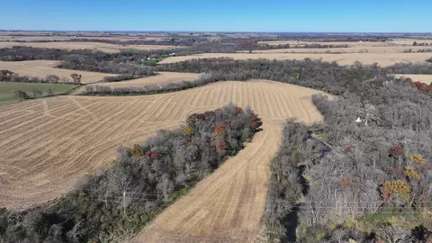 45534 County 29, Newburg Twp, MN 55954 photo 17