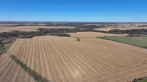 45534 County 29, Newburg Twp, MN 55954 photo 18