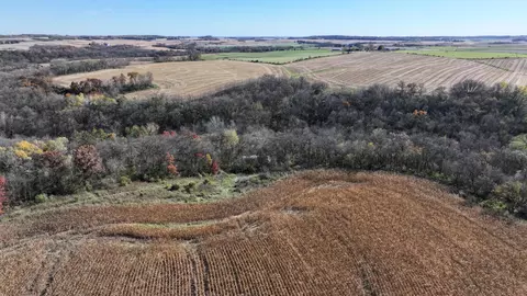 45534 County 29, Newburg Twp, MN 55954 photo 10