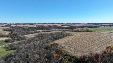45534 County 29, Newburg Twp, MN 55954 photo 12