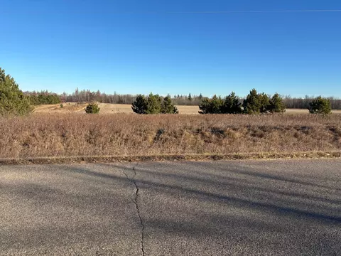 tbd Leaf River Rd, Ottertail, MN 56571 photo 6