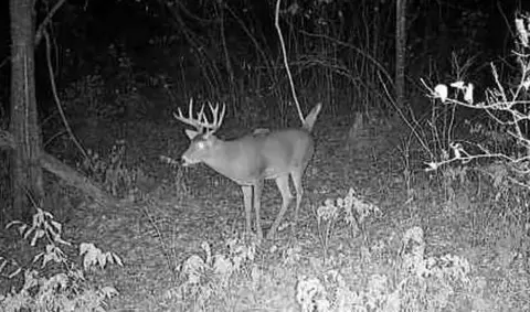 tbd 48th St SW, Pine River, MN 56474 photo 14