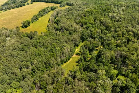 tbd 48th St SW, Pine River, MN 56474 photo 4