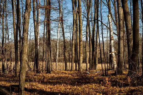 tbd 48th St SW, Pine River, MN 56474 photo 39
