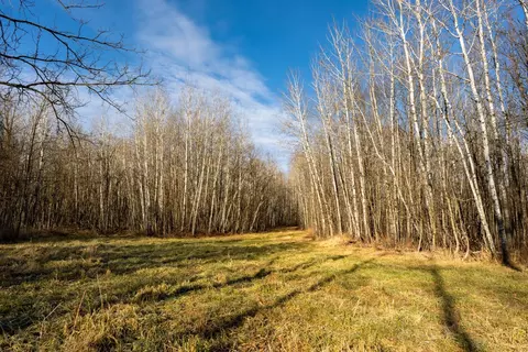 tbd 48th St SW, Pine River, MN 56474 photo 16
