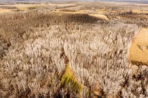 tbd 48th St SW, Pine River, MN 56474 photo 26