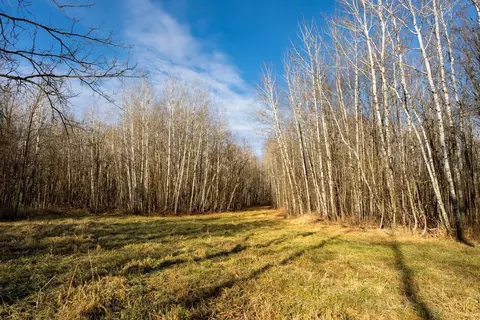 tbd 48th St SW, Pine River, MN 56474 photo 4