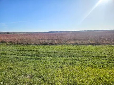 tbd Tbd, Newfolden, MN 56738