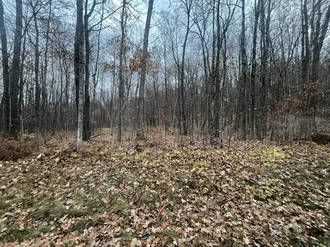 tbd Ham Lake Rd, Stone Lake, WI 54876