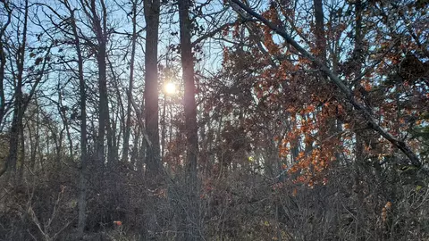 tbd Division St, Bemidji, MN 56601