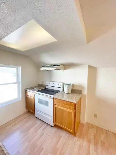 406 Burns Ave, Springfield, MN 56087 photo 9