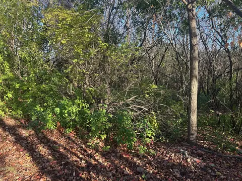 tbd 438th St, Harris, MN 55032 photo 3