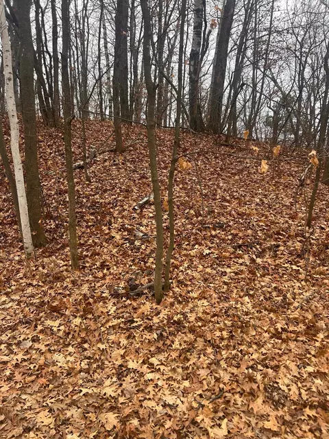 tbd Golf Course Cir, Cushing, MN 56443