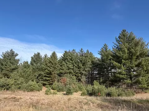 L8, Big Lake, MN 55309