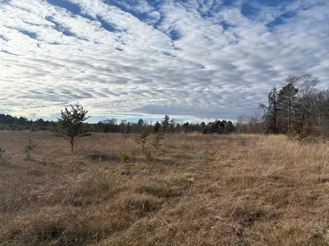 7839 Birchmont Beach Rd NE, Bemidji, MN 56601