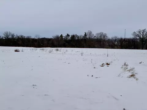 Other - 911 3rd St, Wanamingo, MN 55983 photo 2 of 15