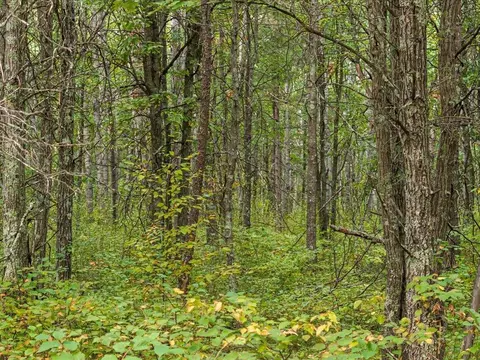 lot J Sandbar Ln, Merrifield, MN 56465