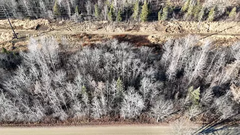 Parcel A Parameter Road, Deer River, MN 56636