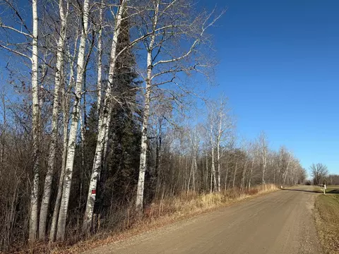 Parcel B Parameter Road, Deer River, MN 56636 photo 17