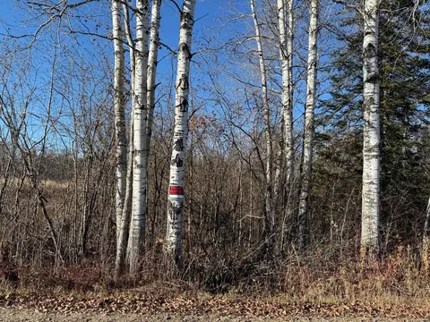 Parcel B Parameter Road, Deer River, MN 56636 photo 18