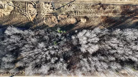 Parcel B Parameter Road, Deer River, MN 56636 photo 14