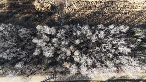 Parcel B Parameter Road, Deer River, MN 56636