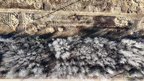 Parcel B Parameter Road, Deer River, MN 56636 photo 16