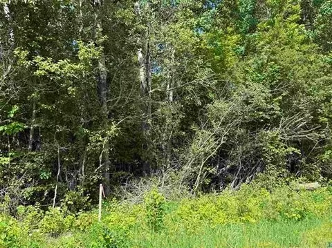 Parcel B Parameter Road, Deer River, MN 56636 photo 8