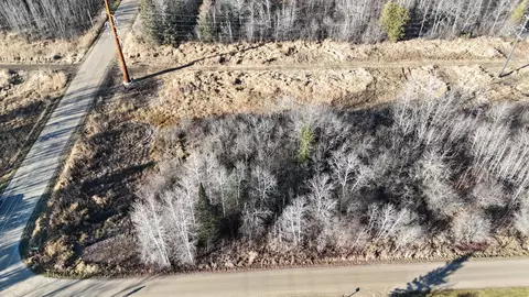 Parcel C Parameter Road, Deer River, MN 56636 photo 16