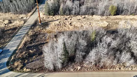 Parcel C Parameter Road, Deer River, MN 56636 photo 14