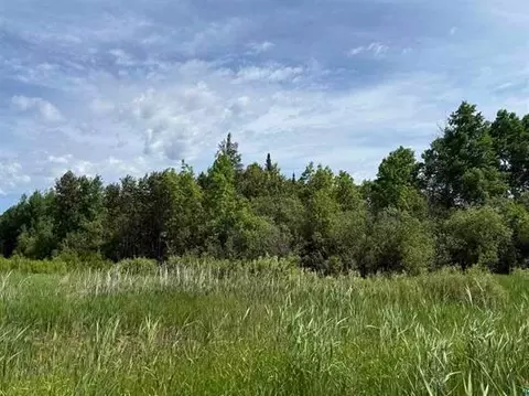 Parcel C Parameter Road, Deer River, MN 56636 photo 9