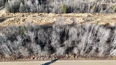 Parcel C Parameter Road, Deer River, MN 56636 photo 15