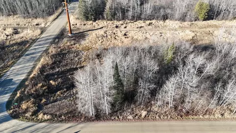Parcel C Parameter Road, Deer River, MN 56636 photo 19