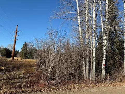 Parcel C Parameter Road, Deer River, MN 56636 photo 21