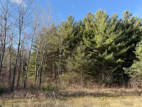 L10, Big Lake, MN 55309